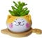 Cuteforyou Adorable pot de fleurs en céramique en forme de chat avec plateau en bambou (jaune)