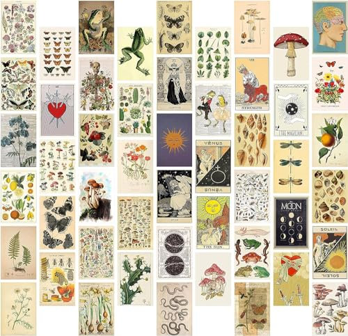 EGuangwiua 50Stück Botanische Illustration Tarot Ästhetische Bilder Wand Collage Kit Trendy Kleine Poster für Schlafsaal Vintage-Stil Kunstdruck Foto Sammlung Schlafzimmer Dekor für Jungen Mädchen