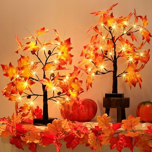 EAMBRITE Lot de 2 décorations d'automne en érable lumineux avec lumières - 24 LED - 6,1 m - Alimentation par USB - Décoration de table pour la récolte d'automne et la maison