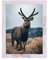 Rahmendesign24 Posterrahmen Milano 42x59,4 (DIN A2) Weiß Vintage chic shabby Fotorahmen, Wechselrahmen, Bilderrahmen, Puzzlerahmen