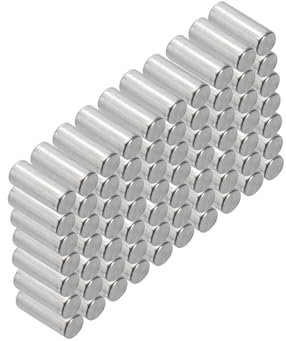 PATIKIL 100pz Assortimento Tasselli in 304 Acciaio Inox 2 x 4mm, Spina Centraggio Perni Metallo Cilindrica Perno Picchetti per Mensole Elementi per Posizione Componenti Fissaggio Mobili