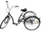 PINYELIN 26 Zoll 3-Rad-Dreirad Fahrrad für Erwachsene, 6 Gänge Erwachsene Dreirad mit Einkaufskorb, Schwarz