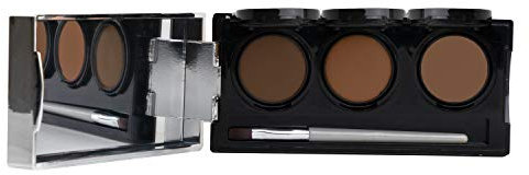 Dermaflage, correttore in crema a copertura completa, palette 3 in 1, correttore professionale, 3 colori + pennello, 6,9 g