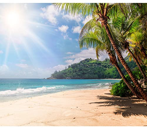 murando Fototapete selbstklebend Tropische Insel 294x210cm Foto Tapete Tapetenfolie Möbelfolie Wandverkleidung Wandtapete Motivtapeten Bildtapete Wohnzimmer 3d Effekt Modern Palme Strand Meer