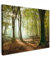 MuchoWow© Leinwände 70x50 cm Wall Decoration Bilder Schlafzimmer Deko Pictures Canvas Painting Wanddekoration Wohnzimmer Wald - Licht - Natur - Landschaft - Bäume