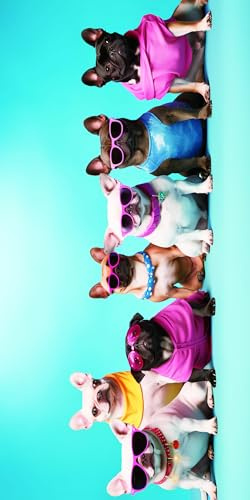 FEBE Strandtuch XXL 100x180 cm Hunde Badetuch Groß 100% Mikrofaser Handtuch Stranddecke Sommer-Handtücher