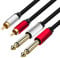 Yeung Qee 2 x 6.35 mm to 2RCA Cable,Dual 1/4 inch TS Stereo Jack Male to 2 RCA Male Stereo Audio Cable Splitter Adapter (3M)