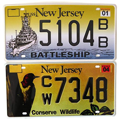 OPO 10 - Juego de 2 Placas DE Licencia DE AUTOMÓVILES DE EE. UU.