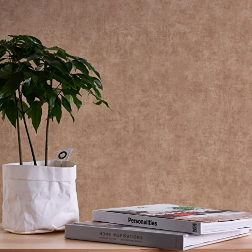 A.S. Création Tapete Uni Beige Braun orange Terra 389229 - Vliestapete Einfarbig - 10,05 m x 0,53 m Made in Germany