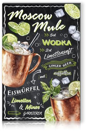 Cocktail Rezepte 20x30cm Alu Schild Deko Metallschild Dekoration für Bar Theke Pub Küche Cafe Geburtstag Geschenk Rezept RV003 (05 Moscow Mule)