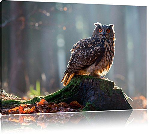 Pixxprint die Eule auf dem Baumstamm, Größe: 60x40cm, Leinwandbild, fertig gespannt, Wandbild, Dekoration, Kunstdruck, kein Poster