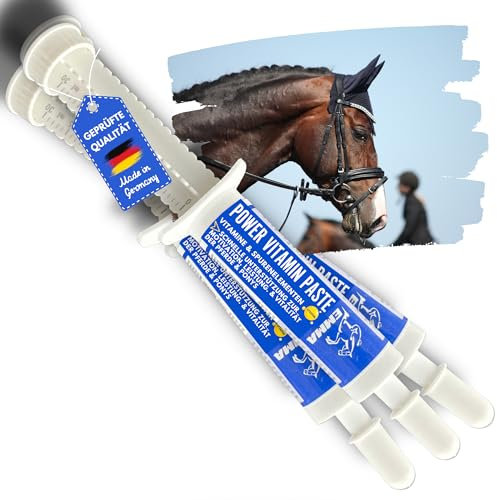 Pasta vitamínica para Caballos I Potenciador de energía Vitaminas B I Complejo vitamínico B12 Lisina Zinc I Minerales I Fortalece el Sistema inmunológico I Vitamina E Oligoelementos Oldie Mares 3pc.