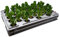 GREEN24 Aqua 36-A Pro Hydroponic Anzucht-System XL 40 x 60 cm Hydrokultur Indoor Pflanzen-Aufzucht für Nutzpflanzen, Gemüse, Kräuter, Salate, Zierpflanzen in Tiefwasserkultur