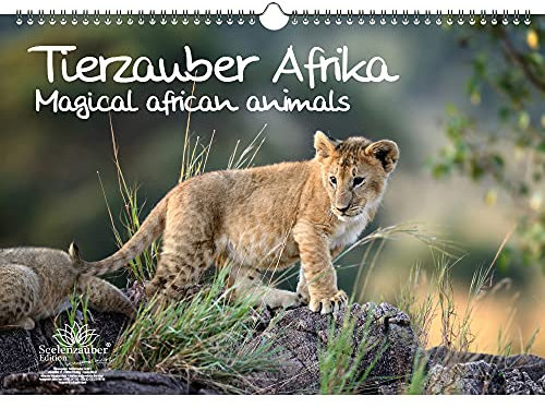 Tierzauber Afrika DIN A3 Kalender - Immerwährender Kalender verschiedene Tiere aus Afrika - Seelenzauber