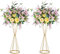 Sziqiqi Blumenständer Gold für Hochzeit: 68cm Hohe Trompete Vase für Tische Hochzeitsempfang Set of 2 Mittelstücke Dekoration für Party Geburtstags Event Festival Feier