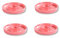 Kesper | Lot de 4 coquetiers, matériau : Ø 10 x H 2 cm, mélamine, dimensions : cm, couleur : rose | Le compagnon idéal pour le petit-déjeuner