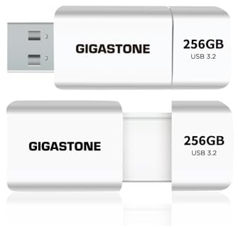 Gigastone Chiavetta USB 256 GB Set da 2, Z60 USB 3.2 Gen 1 Serie, R/W 120/80 MB/s alta velocità, Senza cappuccio con design retrattile, compatibile con interfaccia USB 2.0 / USB 3.0 / USB 3.1