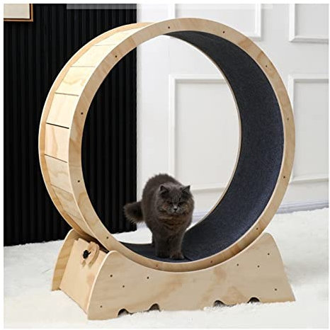 DOZPAL Katzenlaufband für Hauskatzen, großes Katzenrad für Gewichtsverlust und tägliche Bewegung, Verriegelungsvorrichtung und austauschbare Greifpolster