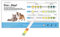 One+Step Gesundheitstest für Hunde und Katzen - Nieren Check - Nierentest - Schnelltest für zu Hause - 1 Stück