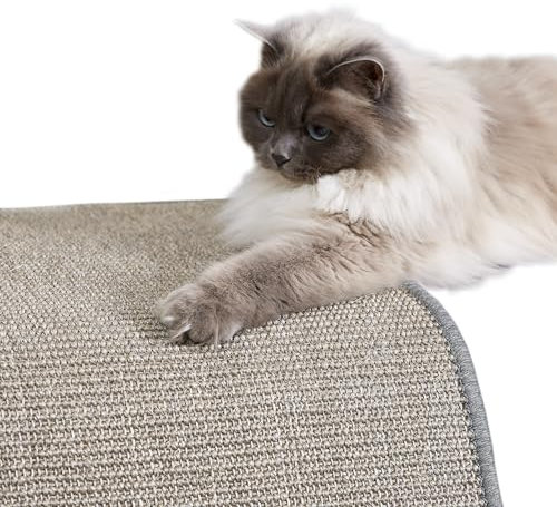 Kratzmatte für Katzen - Fußmatte Sisal Kratzteppich - natürliche Sisalmatte robust - Vorleger 100% Sisal - Katzenkratzmatte grau 60 x 80 cm 2er Set