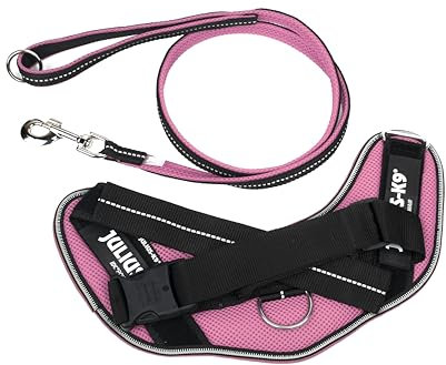 JULIUS K-9 IDC Powair Bundle - IDC Powair Hundegeschirr, Größe: M/0, Pink + IDC Powairleine, Größe: 1,2 m mit Schlaufe und mit großen Karabiner, Pink