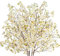 Avoik Lot de 5 Fleur de Cerisier Artificielle Fausse Fleur Decoration 100 cm de Fleurs Artificielles en Soie pour Balcon, Fenêtre, Salon, Maison, Décoration de Fête de Mariage, Blanc