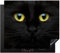 KitchenYeah© Protezione Piano Cottura Tappetino per Induzione 60x52 cm Cucina Proteggi Coprifornello Antiscivolo Gatto - Nero - Occhi - Giallo - Animali domestici