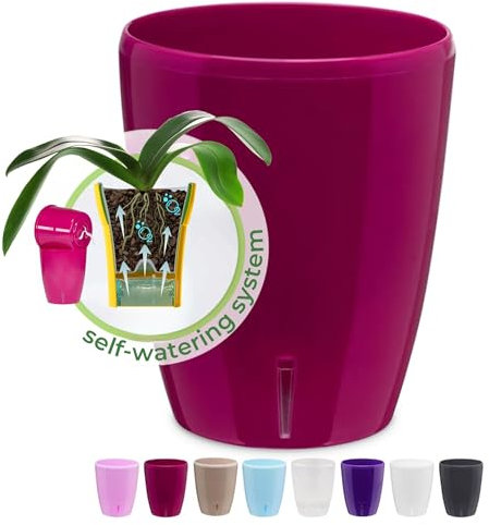 Happyplants ORCHIDEA Clear Orchid Self-Watering Flower Pot Planter With Water Level Indicator Water Reserve And Drainage Holes (Violet, Ø 16.5CM - 3.3L)