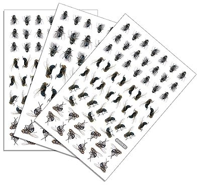 Realistische Horror-Fliegen-Wandaufkleber, verbessert Bühnenauftritte, gruselige, simulierte Szenendekoration, Innendekoration