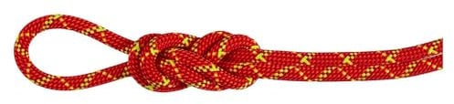 Mammut Alpine Core Protect Dry 8 Mm Rope 40 m