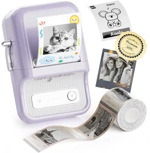 NIIMBOT B21 Pro Imprimante D'autocollants Portable, Étiqueteuse Bluetooth sans Encre pour Photos, Notes d'étude, mémo