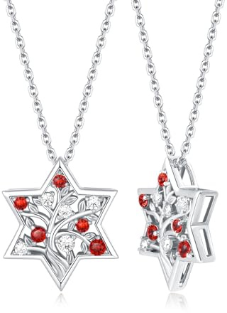 FDYZ D Color VVS1 Clarity Moissanite Jewish Star of David Pendant Necklace for Women, Really Authentic Solid 925 Sterling Silver, 16/18/20 Adjustable, Israel Necklace