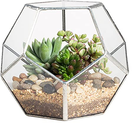NCYP Glass Terrarium, Pentagon Shape Geometric Terrarium Planter Pot for Display Succulent, Air Plants - Indoor Garden Tabletop Balcony Decor, Silver (No Plants, No Door)