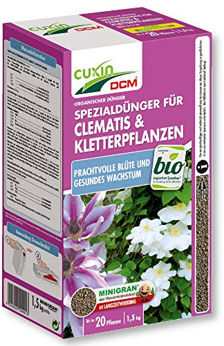 Clematis und Kletterpflanzen