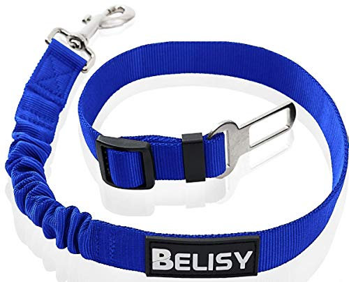 BELISY Hunde Sicherheitsgurt fürs Auto I maximale Sicherheit & Komfort I Blau