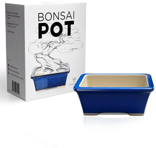 Leaves and Soul Maceta de cerámica esmaltada para bonsái – Maceta de cerámica para suculentas y Plantas pequeñas – Maceta Rectangular Azul Jardines Interiores y Exteriores, mesas y decoración