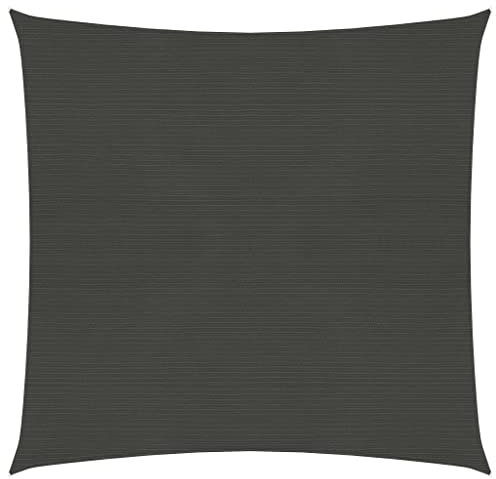 vidaXL Sonnensegel 160 g/m² Anthrazit 5x5 m HDPE