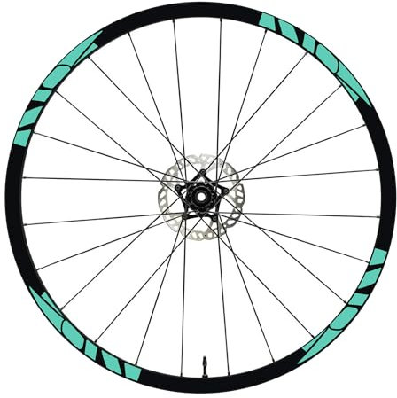DualColorStampe B0193 Felgenaufkleber für Fahrrad, 26 Zoll – 27,5 Zoll – 28 – 29 Zoll (Mint 55, 28 – 29 Zoll)
