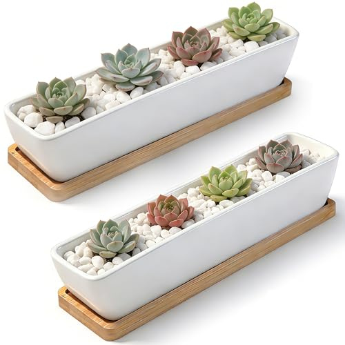 ARVINKEY White Ceramic Succulent Planters, Indoor and Outdoor Succulent Planters, Set of 2 Cactus Containers, Bonsai Pots, Flower Pots with Drainage Hole and Bamboo Bowl (No Plant)