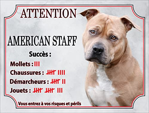 Plaque humour Attention au Chien en métal Aluminium - panneau american staff compte ses trophées,pancarte american staff humour modèle marron