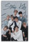 NOHF Stray Kids Poster Kpop SKZ Poster, Wandkunstdruck, Retro, ästhetische Raumdekoration, Malerei, Leinwandposter für Zuhause und Büro, Dekorationen, 30 x 45 cm, ungerahmter Stil