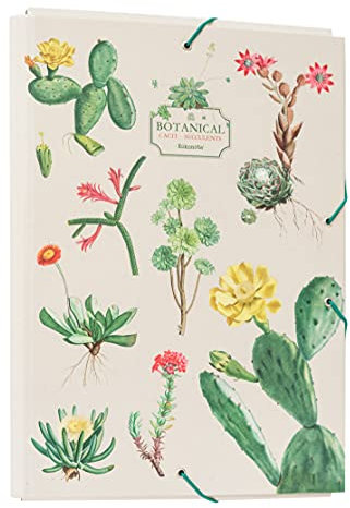 Grupo Erik Mappe A4 Botaical Cacti - Sammelmappe A4 Dokumentenmappe A4 mit Gummizug - Heftmapppe A4 Schule Zubehör Heftbox A4 Ordnungsmappe