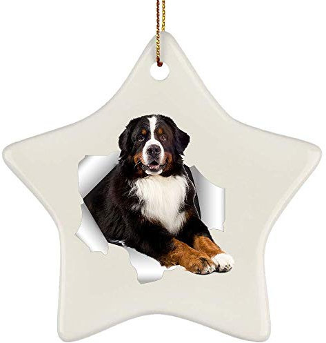 Weihnachten Ornamente Keramik Weihnachtsschmuck Mit Schnur Christbaumschmuck Anhänger Weihnachten Deko Lustiger Berner Sennenhund, Dreifarbig, Schwarz, Kommt Aus Rissiger Wand
