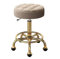 Rollhocker Master Chair Beauty Salon Hocker Friseurstühle mit Rollen und Rückenlehne, Drehhocker mit Rollen, Gewerbemöbel(Golden Dark beige)