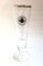 Warsteiner 0,2l Glas/Goldrand/Gläser/Bierglas/Biergläser/Tulpe/Gastro/Bar/Party / 1 Stück