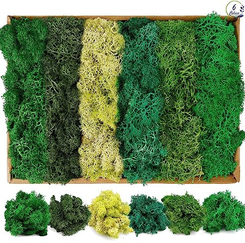 Mousse de Renne, Mousse Préservée, Mousse Artificielle Décoration, Mousse Séchée pour Décorations, Peintures de Mousse, Murs de Mousse, Artisanat et Fleurs et Pièces de Noël, 240g, 6 Couleurs