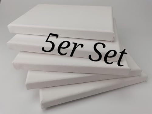 5 Stück Leinwand auf Keilrahmen aus Baumwolle 300 g/m² Set Maltuch zum Bemalen für Ölfarbe Acryl Aquarell (50x60 cm)