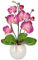 Orchidée Artificielle dans Un Bol de 35 cm - Orchidée Artificielle phalaenopsis avec Pot - Décoration de Mariage - Papillon Phalaenopsis - Fleur décorative en Soie - Arrangements Floraux Roses