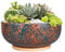 Fivepot 25,5 cm Terrakotta Sukkulent Pflanztopf mit Drainageloch Blumentopf für Innenpflanzen Runder Flacher Bonsai Topf mit Bambus Tablett Grün