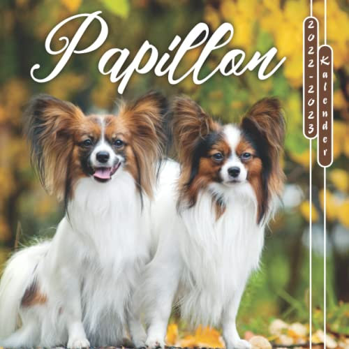 Papillon Kalender 2022-2023: 24-Monats-Kalender von Januar 2022 bis Dezember 2023. Platz für Notizen. Es ist ein perfektes Geschenk für einen geliebten Menschen